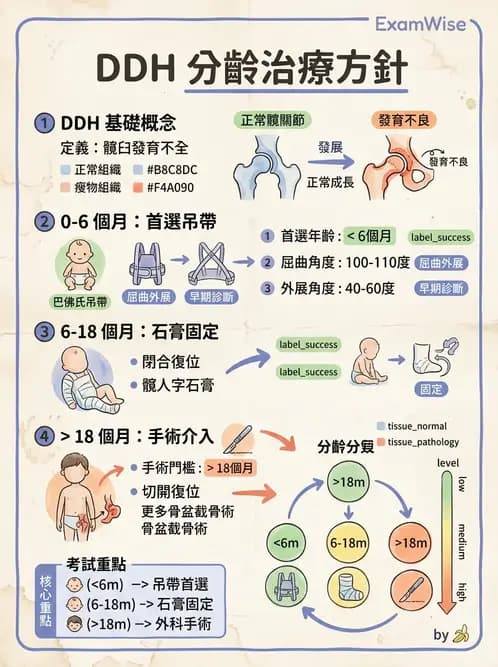物治 - 小兒肌肉骨骼疾患物理治療 - AI 圖文解析預覽
