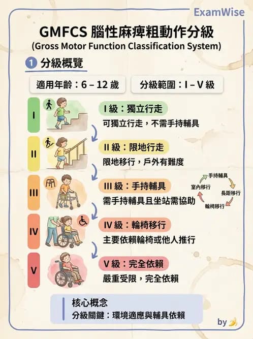 物治 - 腦性麻痺分類、評估與步態 - AI 圖文解析預覽