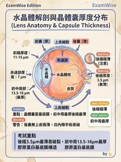 驗光師 - 水晶體與玻璃體 - AI 圖文解析預覽