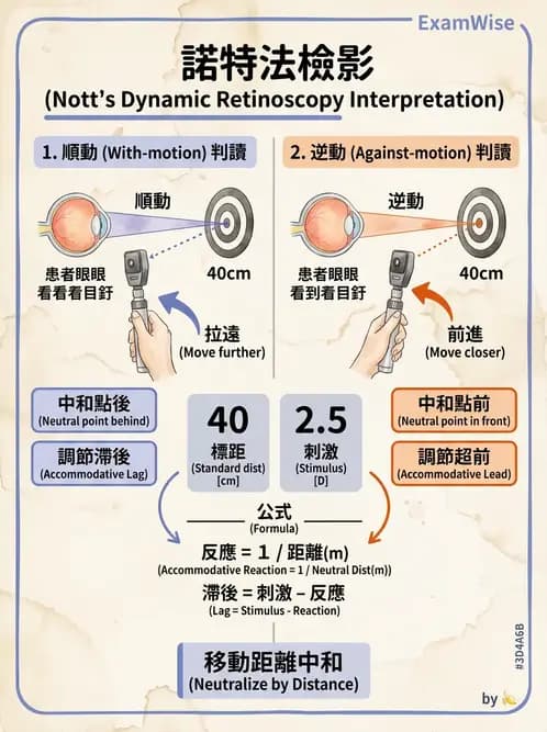 驗光師 - 視網膜檢影法 - AI 圖文解析預覽