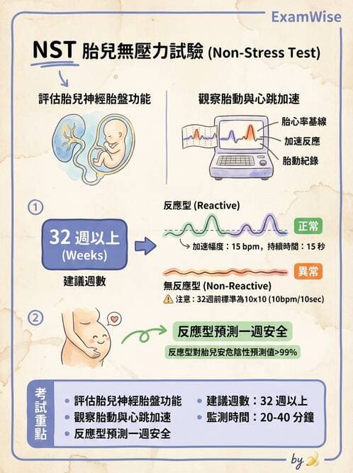 護理師 - 胎兒發育與監測評估 - AI 圖文解析預覽