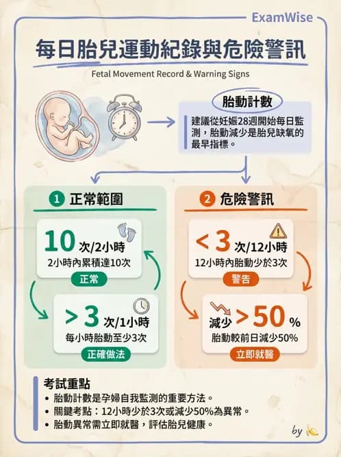 護理師 - 胎兒發育與監測評估 - AI 圖文解析預覽