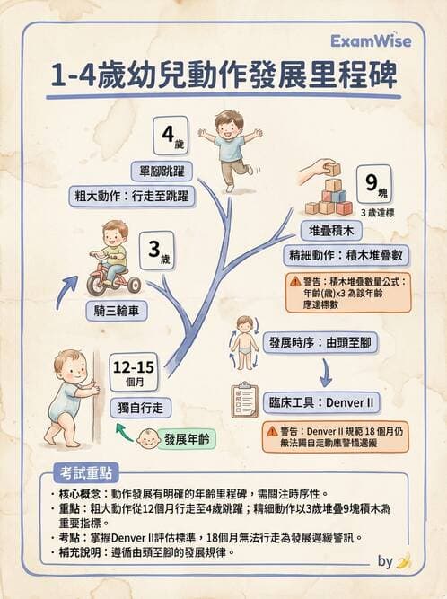護理師 - 兒童生長發展與評估 - AI 圖文解析預覽