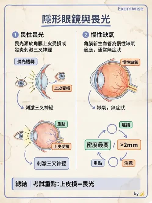 驗光師 - 結膜眼瞼反應、沉澱物與乾眼 - AI 圖文解析預覽