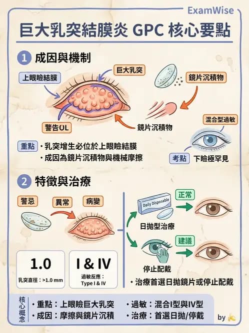驗光師 - 結膜眼瞼反應、沉澱物與乾眼 - AI 圖文解析預覽