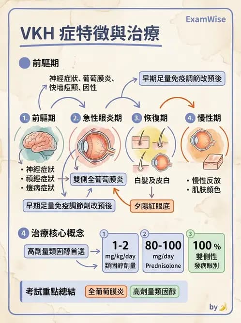 驗光師 - 葡萄膜炎與免疫相關眼病變 - AI 圖文解析預覽