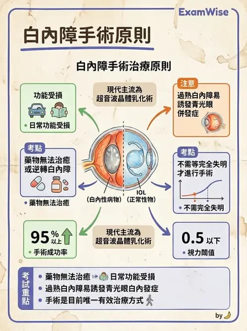 驗光師 - 水晶體疾病 - AI 圖文解析預覽