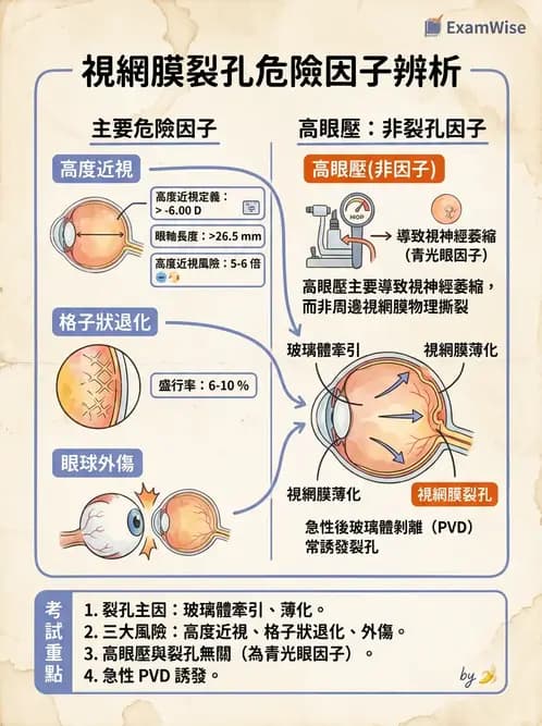 驗光師 - 視網膜疾病 - AI 圖文解析預覽