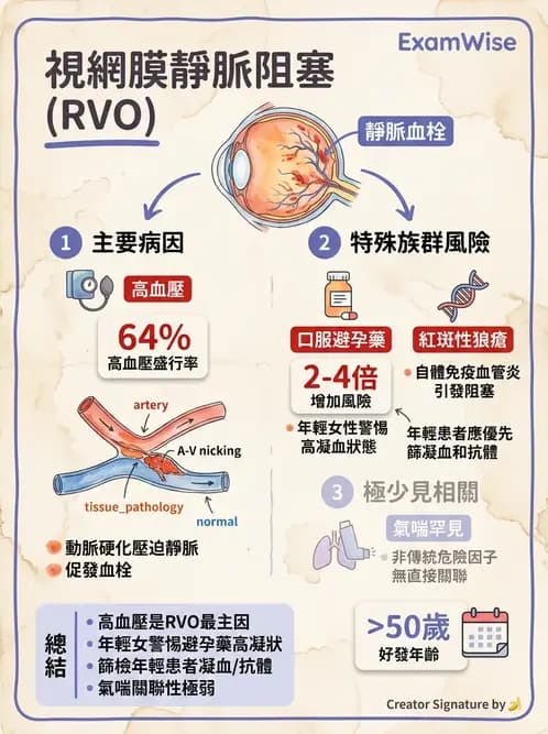 驗光師 - 血管阻塞、甲狀腺眼疾與其他全身性眼病變 - AI 圖文解析預覽
