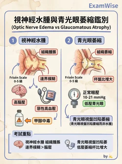驗光師 - 斜弱視與神經眼科 - AI 圖文解析預覽