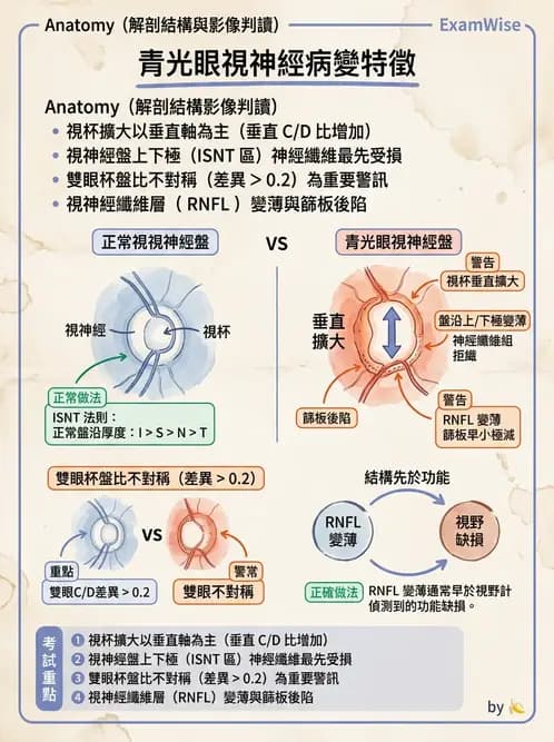 驗光師 - 青光眼診斷與治療 - AI 圖文解析預覽