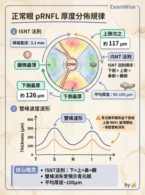 驗光師 - 視覺生理與檢查 - AI 圖文解析預覽