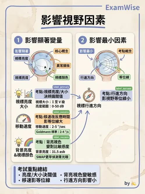 驗光師 - 眼外肌運動與眼位初步檢查 - AI 圖文解析預覽