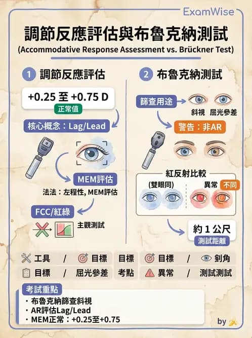 驗光師 - 調節功能與立體視融像評估 - AI 圖文解析預覽