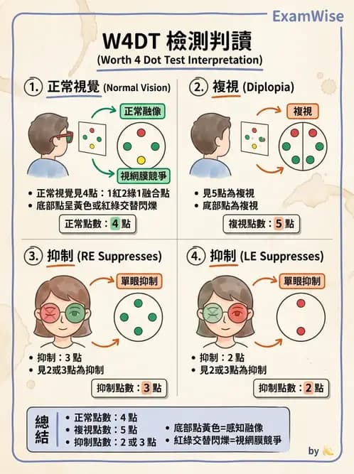 驗光師 - 調節功能與立體視融像評估 - AI 圖文解析預覽