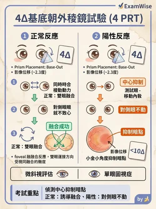 驗光師 - 斜視 - AI 圖文解析預覽