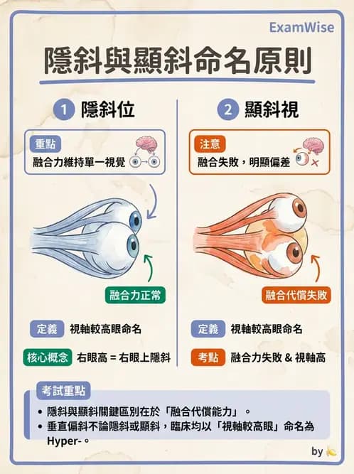 驗光師 - 隱斜位測量方法 - AI 圖文解析預覽