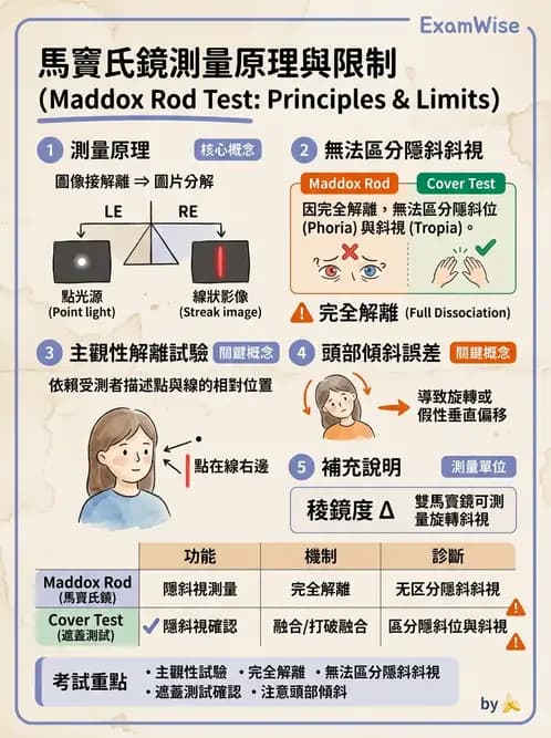 驗光師 - 隱斜位測量方法 - AI 圖文解析預覽