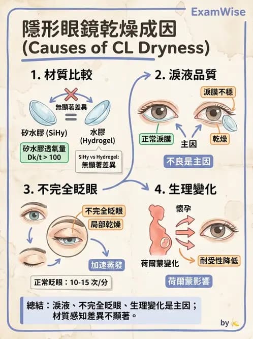 驗光師 - 結膜眼瞼反應、沉澱物與乾眼 - AI 圖文解析預覽