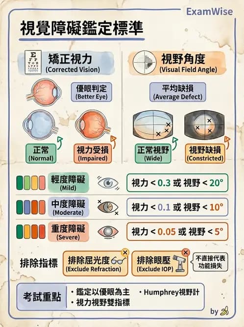 驗光師 - 視障的分類及流行分布 - AI 圖文解析預覽
