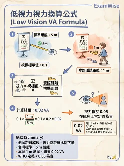 驗光師 - 視力表與視力量測 - AI 圖文解析預覽