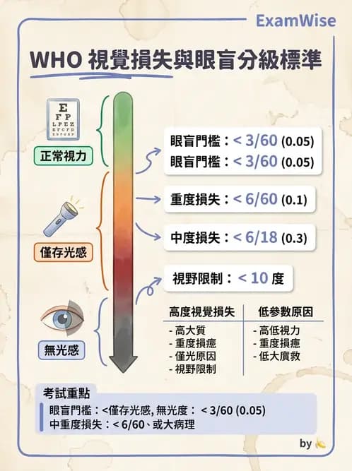 驗光師 - 視障的分類及流行分布 - AI 圖文解析預覽