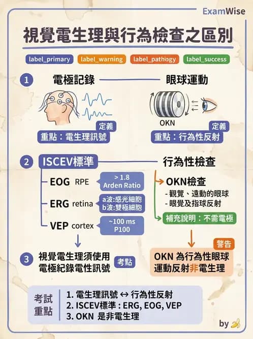 驗光師 - 視野評估與特殊族群檢查 - AI 圖文解析預覽