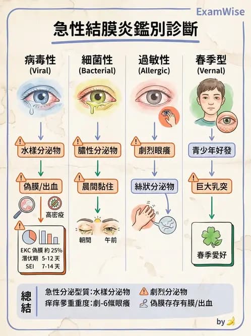 驗光師 - 感染性角結膜炎 - AI 圖文解析預覽