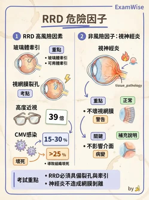驗光師 - 視網膜疾病 - AI 圖文解析預覽
