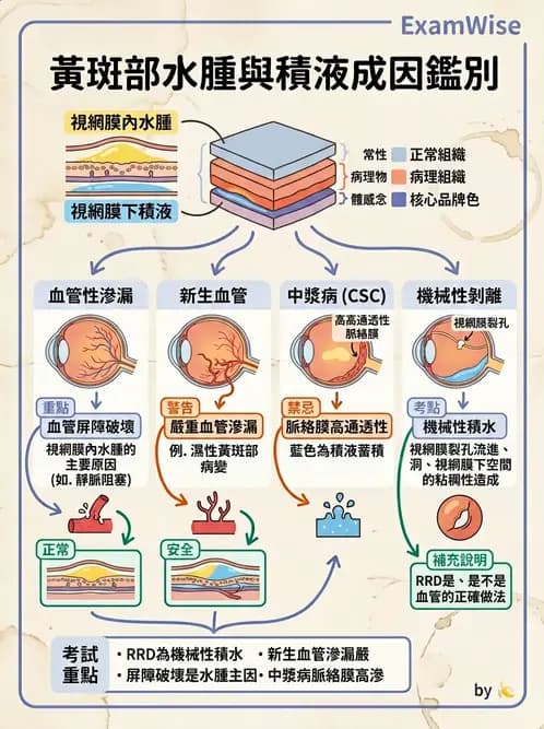 驗光師 - 視網膜疾病 - AI 圖文解析預覽