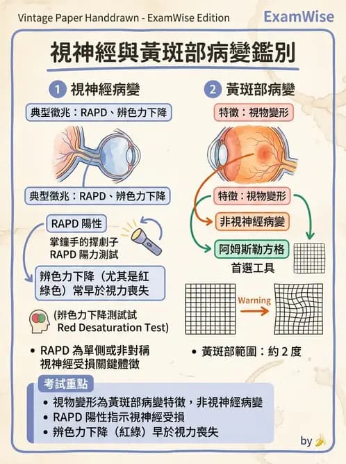 驗光師 - 斜弱視與神經眼科 - AI 圖文解析預覽