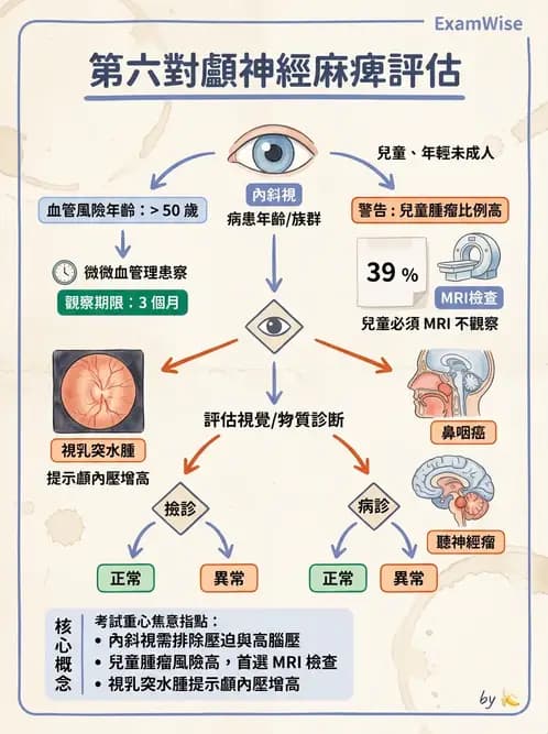 驗光師 - 斜弱視與神經眼科 - AI 圖文解析預覽