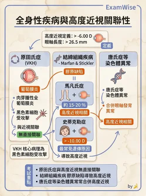 驗光師 - 近視併發症 - AI 圖文解析預覽