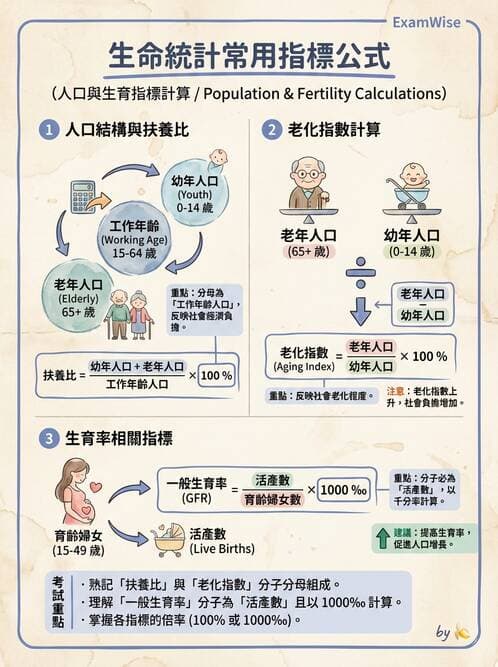 護理師 - 生命統計與健康指標 - AI 圖文解析預覽