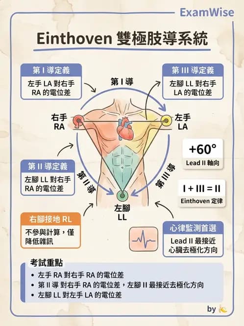 醫檢師 - 心電圖基礎與判讀 - AI 圖文解析預覽