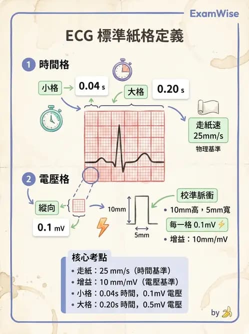 醫檢師 - 心電圖基礎與判讀 - AI 圖文解析預覽