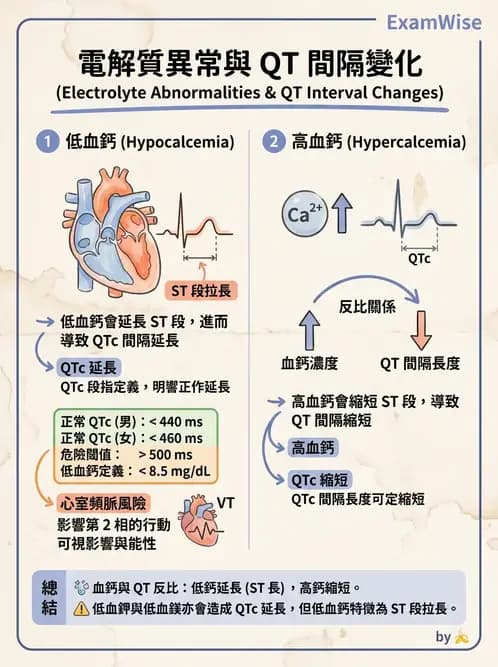 醫檢師 - 心肌病變與特殊心電圖 - AI 圖文解析預覽
