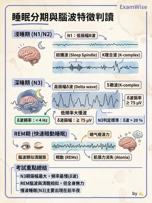 醫檢師 - 神經肌肉與睡眠檢查 - AI 圖文解析預覽