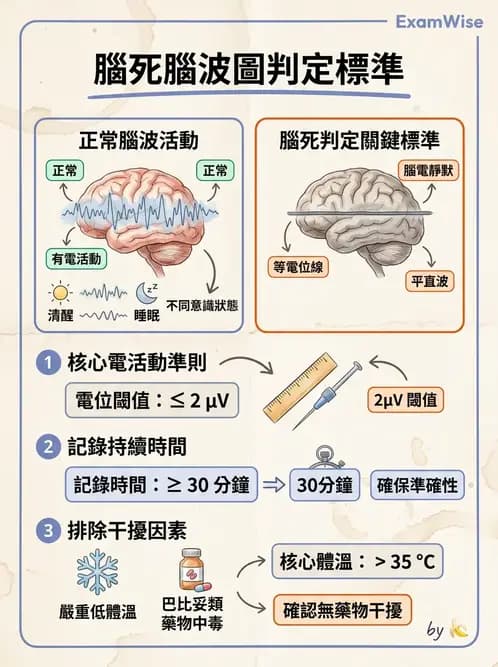 醫檢師 - 腦電圖檢查 - AI 圖文解析預覽