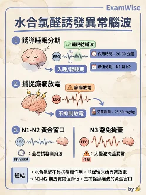 醫檢師 - 腦電圖檢查 - AI 圖文解析預覽