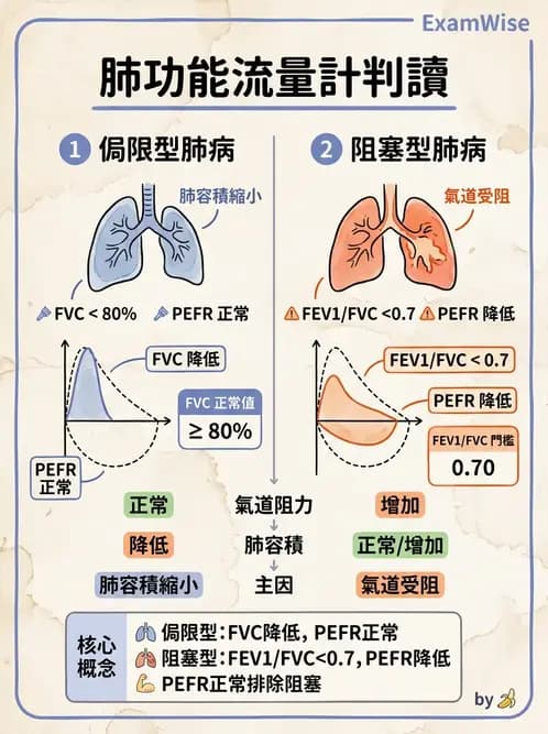 醫檢師 - 肺功能判讀與氣體交換 - AI 圖文解析預覽
