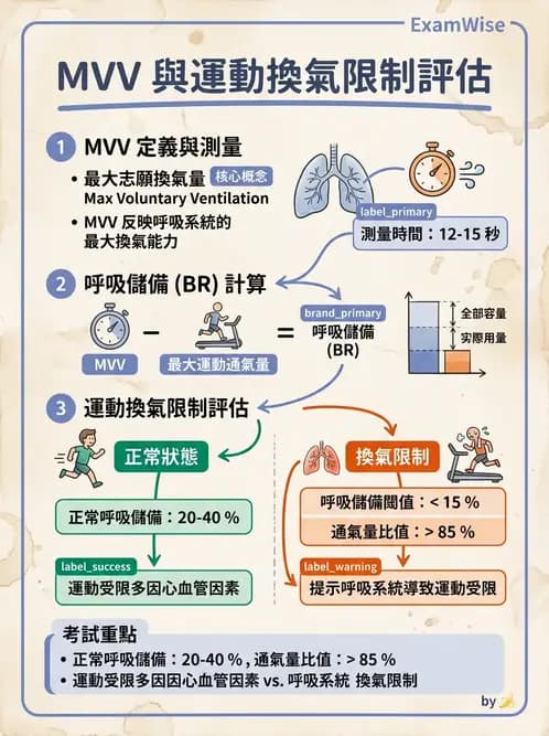 醫檢師 - 肺功能基礎與指標 - AI 圖文解析預覽