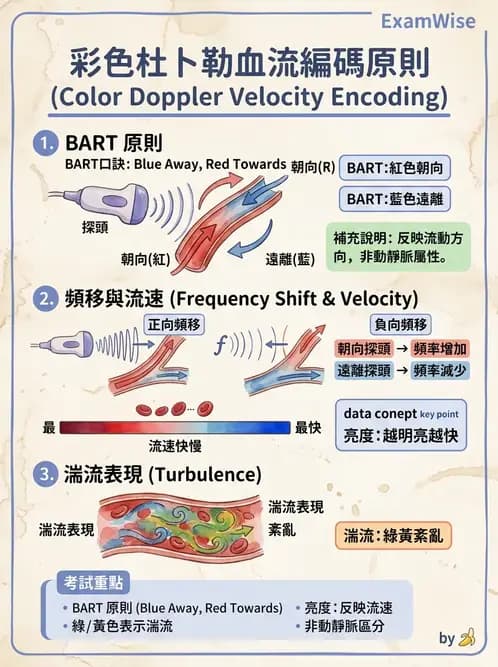 醫檢師 - 超音波檢查 - AI 圖文解析預覽