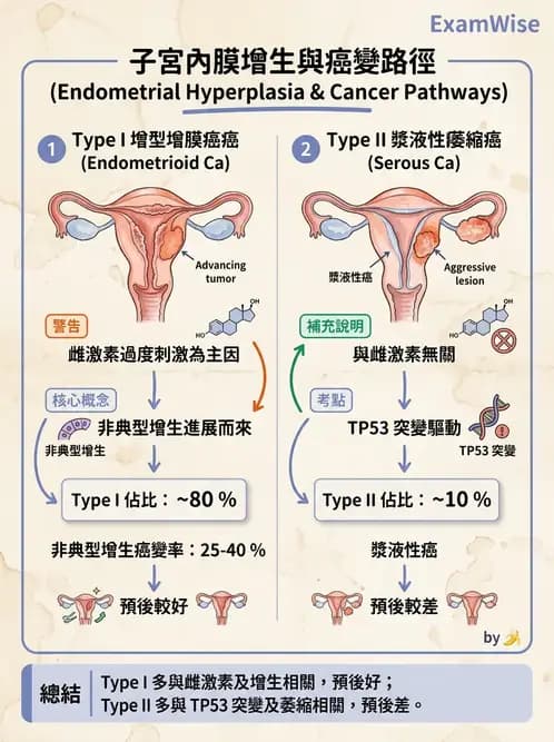 醫檢師 - 乳房及女性生殖疾病 - AI 圖文解析預覽