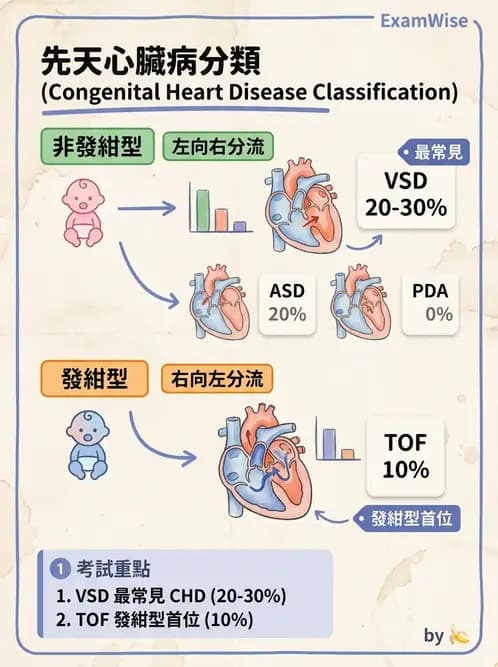 醫檢師 - 心血管疾病 - AI 圖文解析預覽