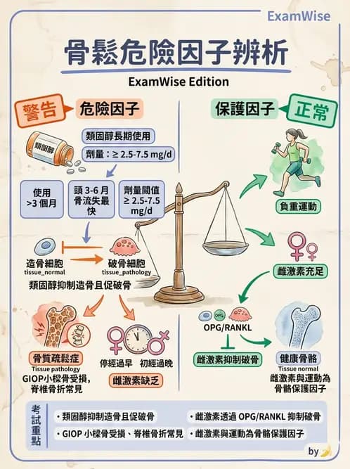 醫檢師 - 骨骼及軟組織疾病 - AI 圖文解析預覽