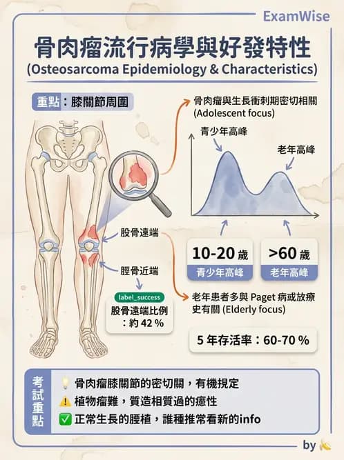 醫檢師 - 骨骼及軟組織疾病 - AI 圖文解析預覽