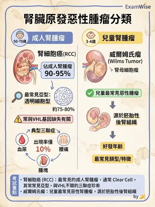 醫檢師 - 腎臟泌尿及男性生殖疾病 - AI 圖文解析預覽
