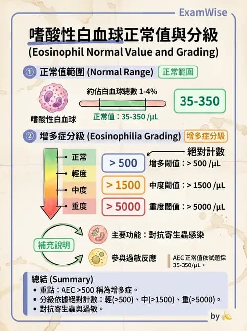 醫檢師 - 白血球生理與形態 - AI 圖文解析預覽