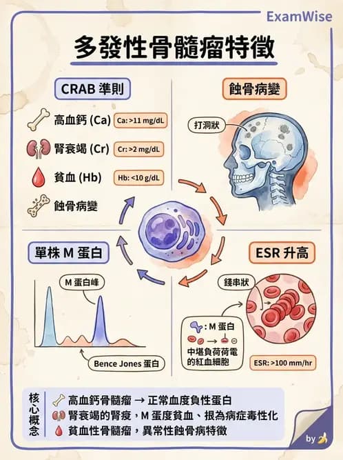 醫檢師 - 淋巴瘤、漿細胞疾病與白血球異常 - AI 圖文解析預覽
